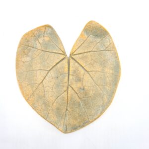 Heart Leaf S