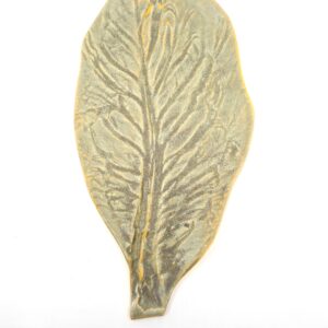 Apolythoma